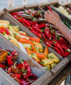 bins of peppers