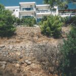 Dirt wall retaining bushes and house support 