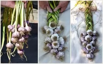 Wrapped Garlic Hanging