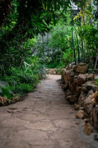 Rock path with stone retaining wall
