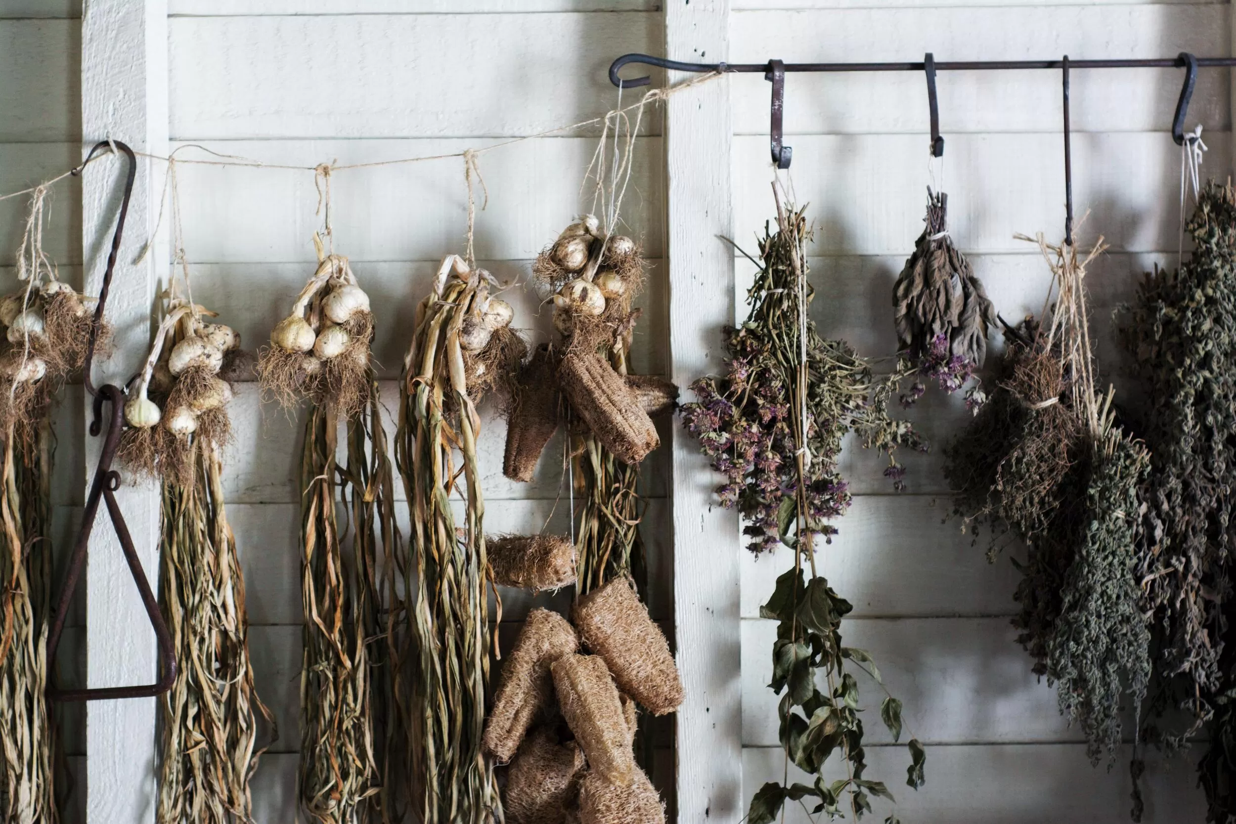 landis-brown-gvDfl_814_c-unsplash Dried Herbs