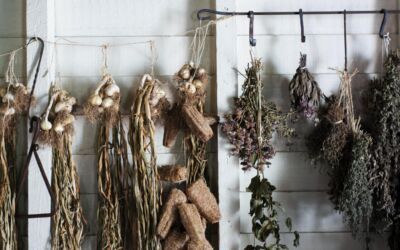 How to Dry Herbs