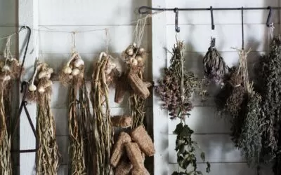 How to Dry Herbs
