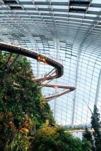 Aerial walkway wrapping around botanical garden