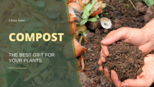 compost pile three easy steps