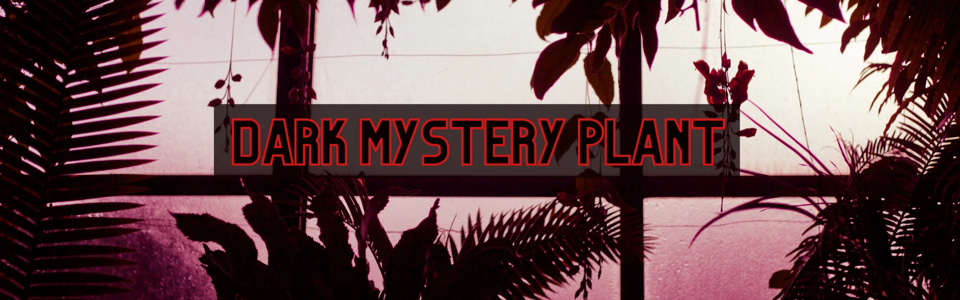dim lit office full of house plants with the words Dark Mystery Plant in the middle