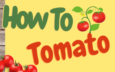 How To Tomato