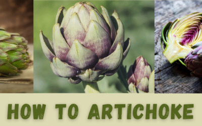 How To Artichoke
