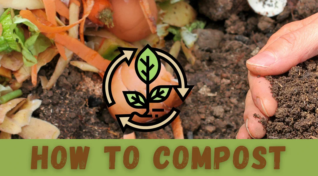 How To Compost