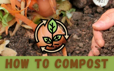 How To Compost