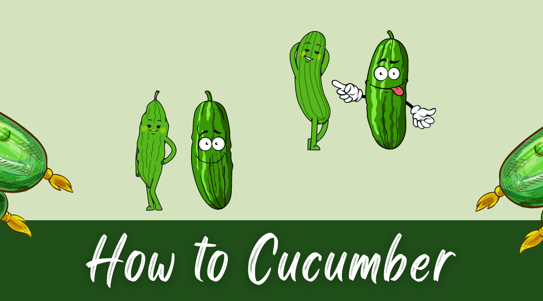 How to Cucumber