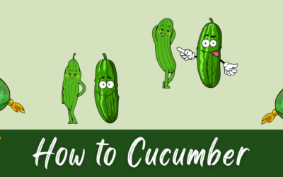How to Cucumber