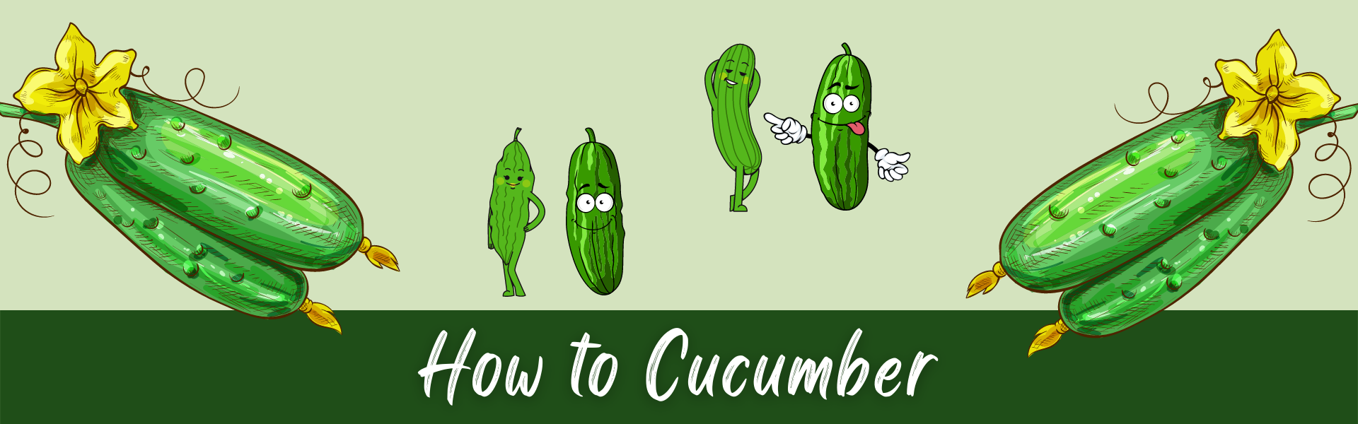 how to cucumber