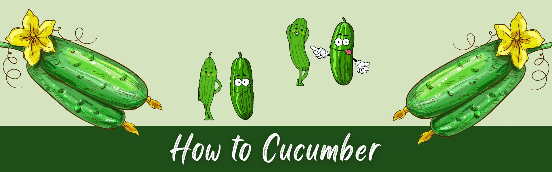 how to cucumber