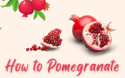 How To Pomegranate