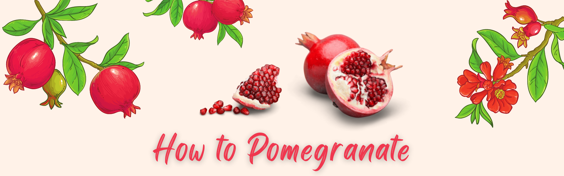 Illustrated pomegranate tree branches surrounding a picture of on opened pomegranate
