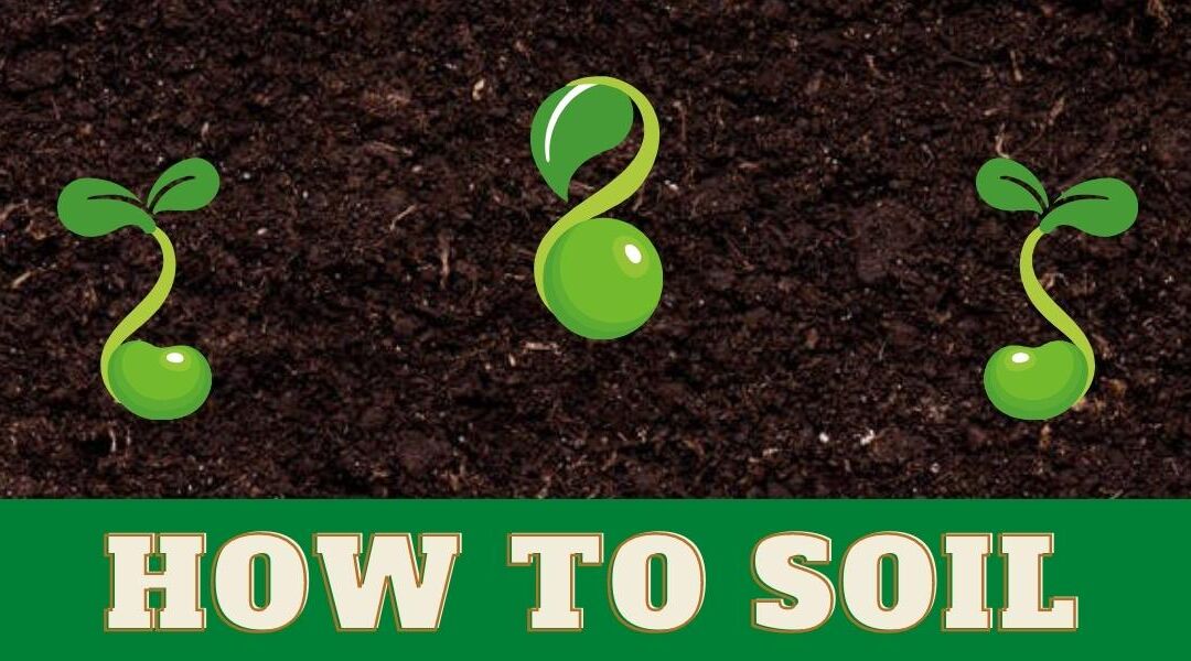 How To Soil