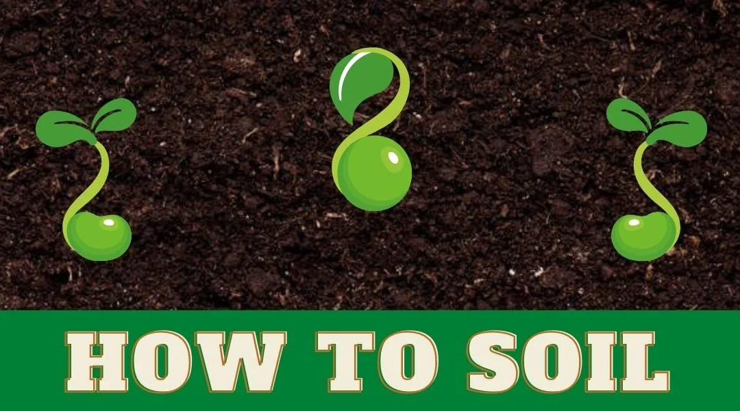 How To Soil