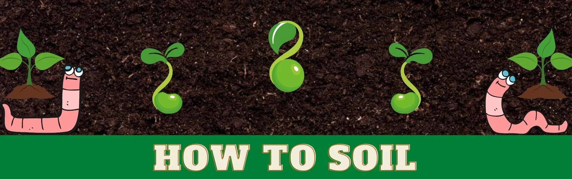 How to Soil FT Image3 Image of soil with illustrated worms and sprouts
