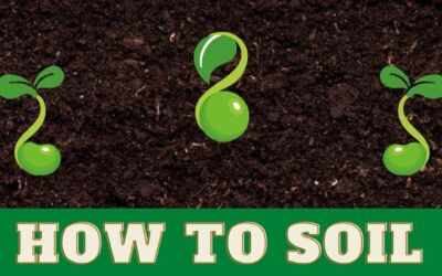 How To Soil
