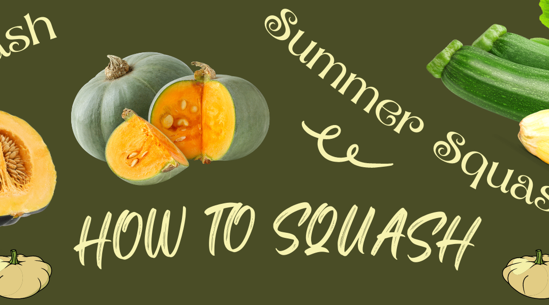 How To Squash