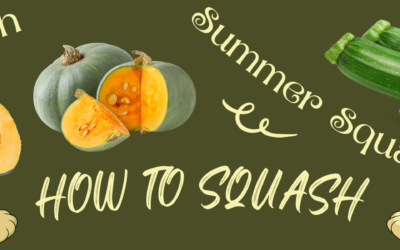 How To Squash