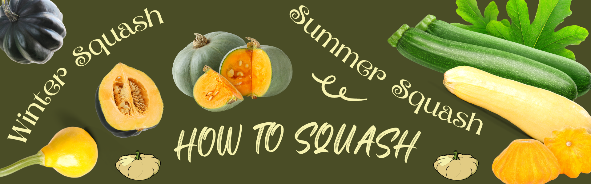 variety of winter and summer squash with title how to squash