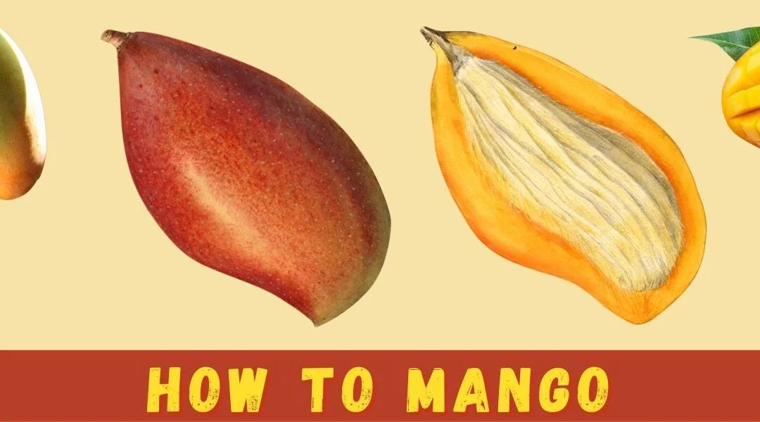 How To Mango