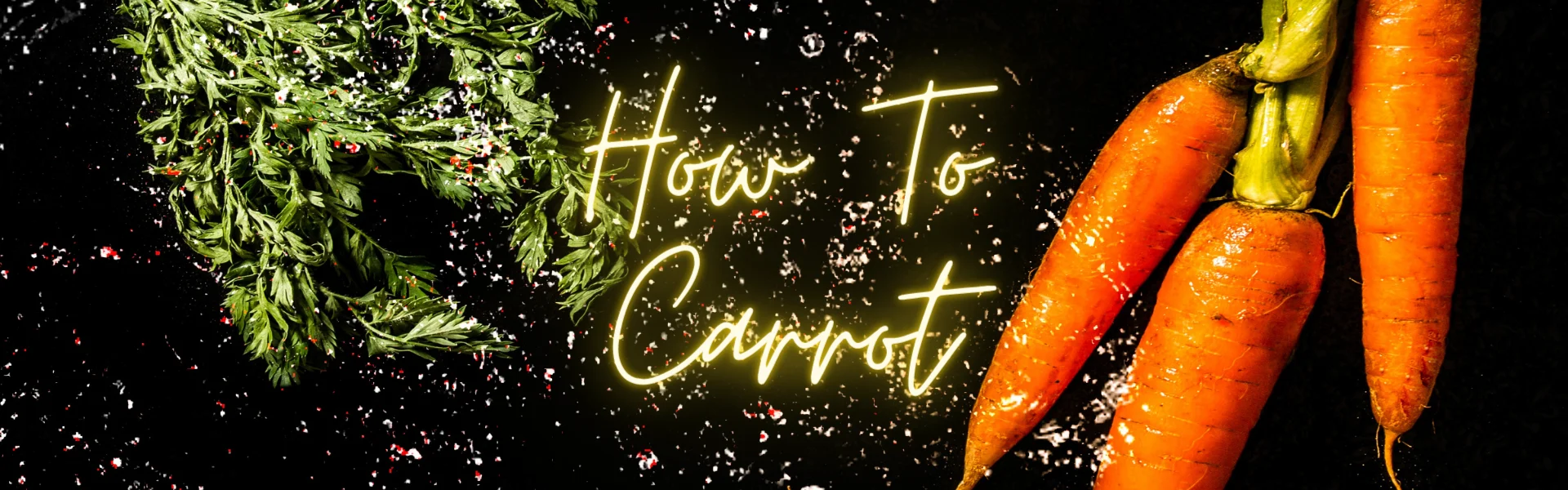 How To Carrot how to carrot