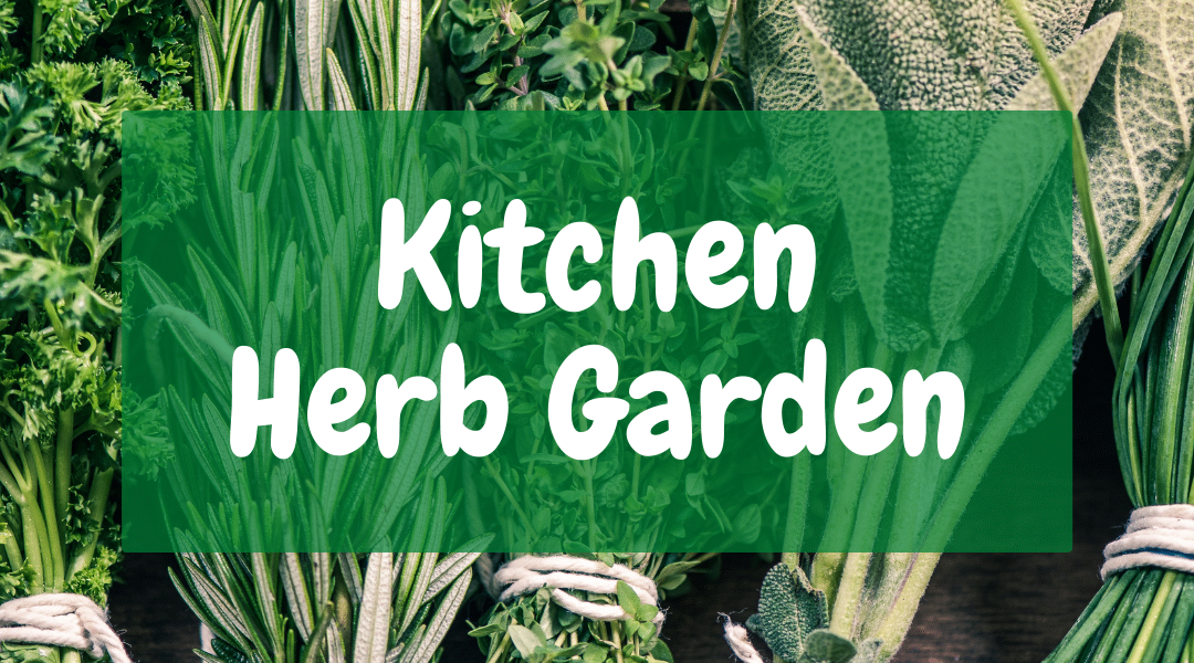 Kitchen Herb Garden