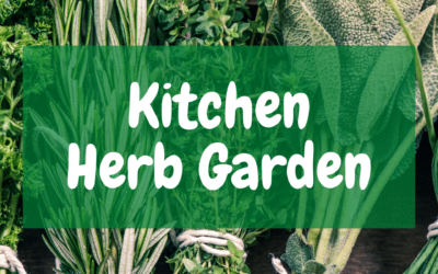 Kitchen Herb Garden