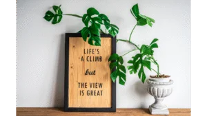 dragon tail plant great view sign.png Rhaphidophora decursiva house plant with sign saying "life is a climb but the view is great"