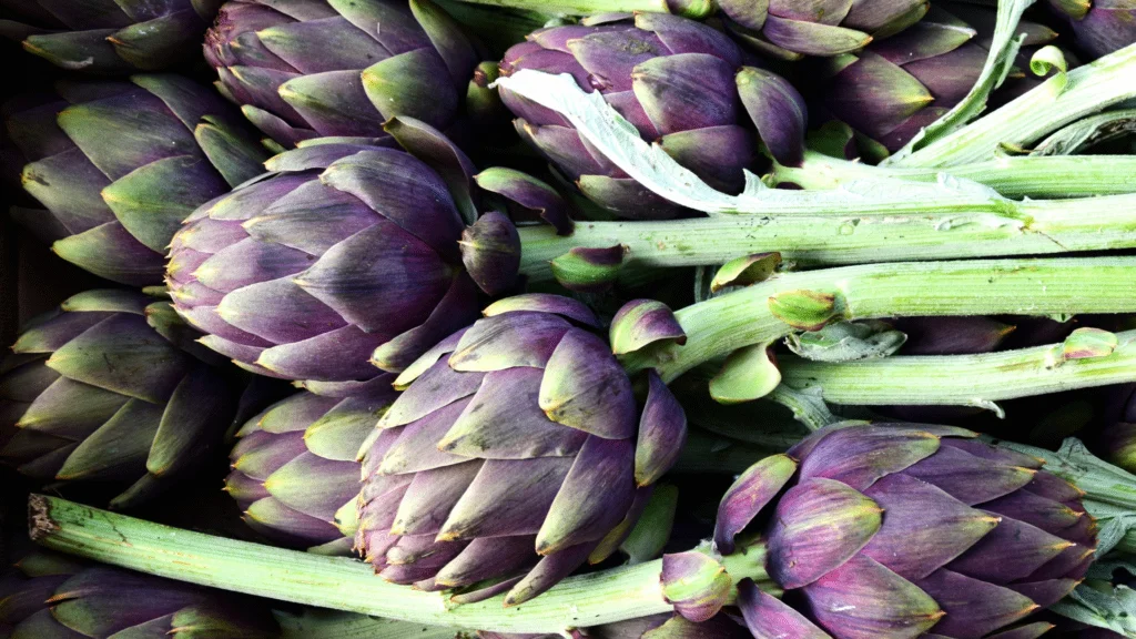purple artichoke images pile of purple artichokes