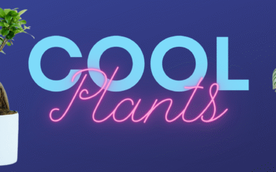 Cool Plants
