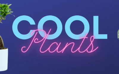Cool Plants