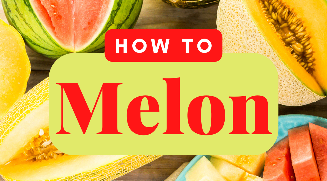 How To Melon