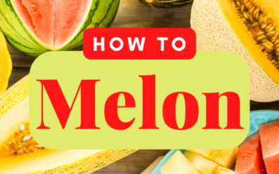 How To Melon