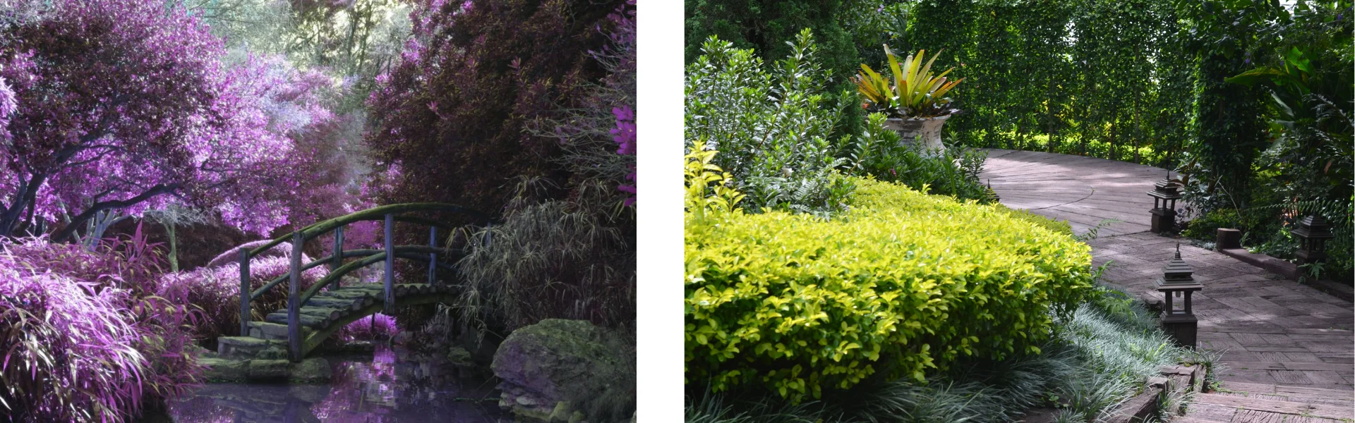 Focal Point Focal points of a Backyard