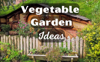 Vegetable Garden Ideas