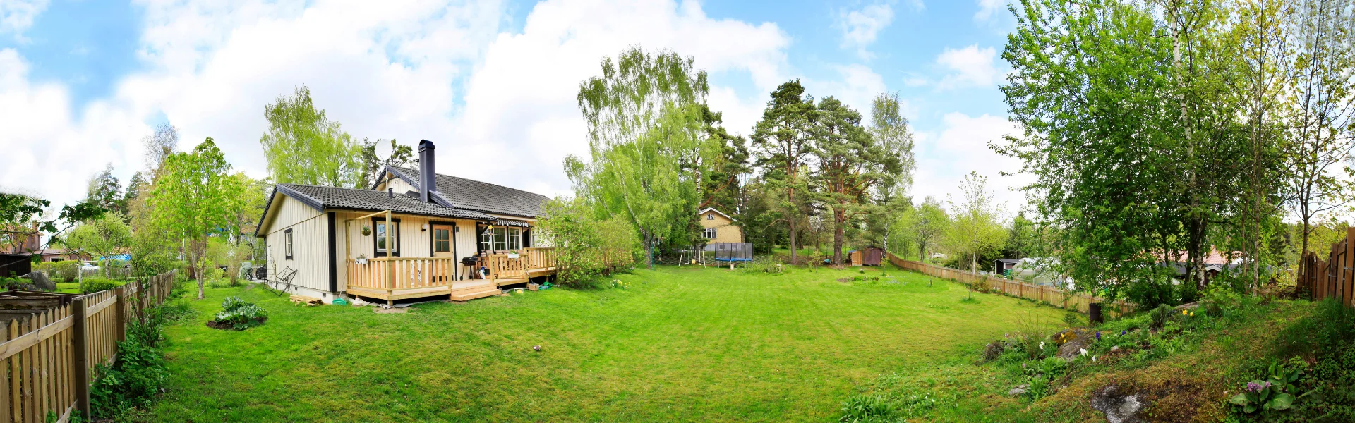 Simple Backyard Landscape