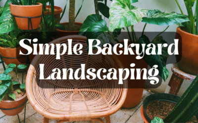 Simple Backyard Landscaping Ideas