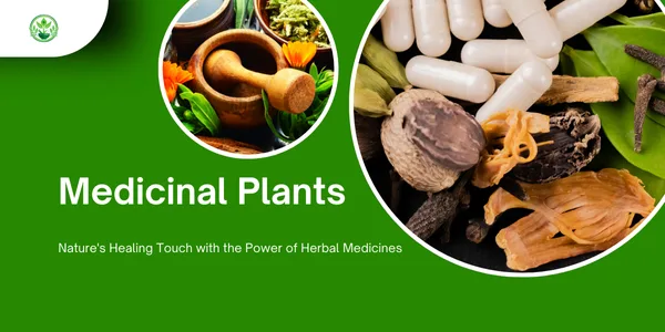 medicinal plants grow guide