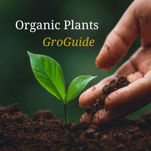 Organic Plants Grow Guide