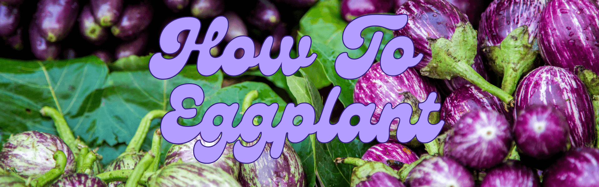 how to eggplant How to Eggplant