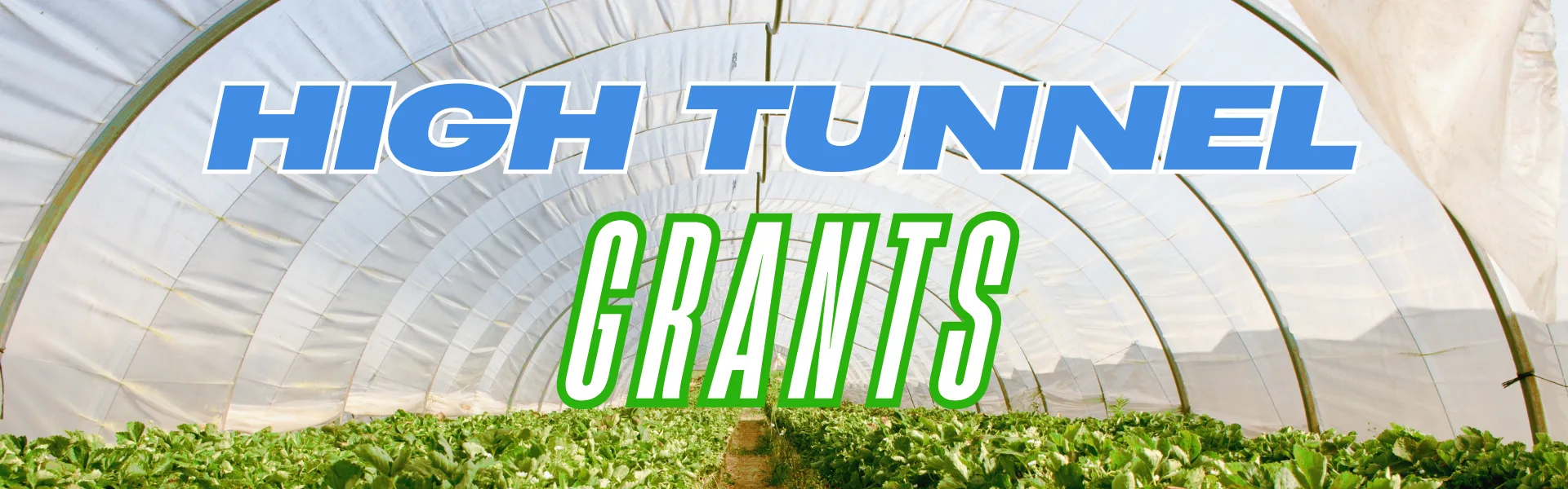 High Tunnel Grants blog banner High Tunnel Grants