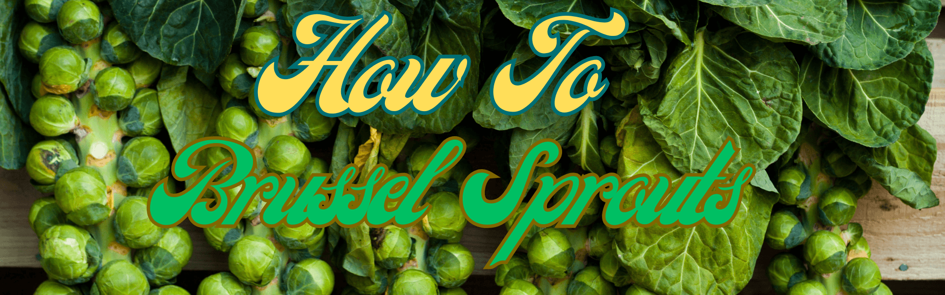 How To Brussel Sprouts