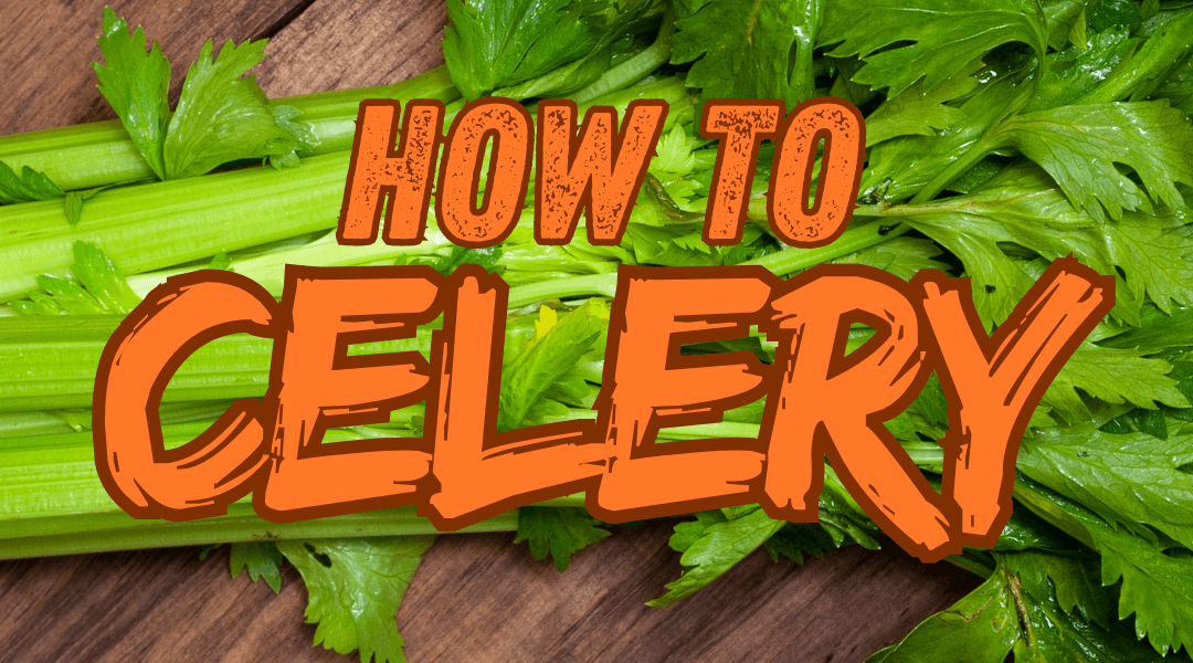 How To Celery