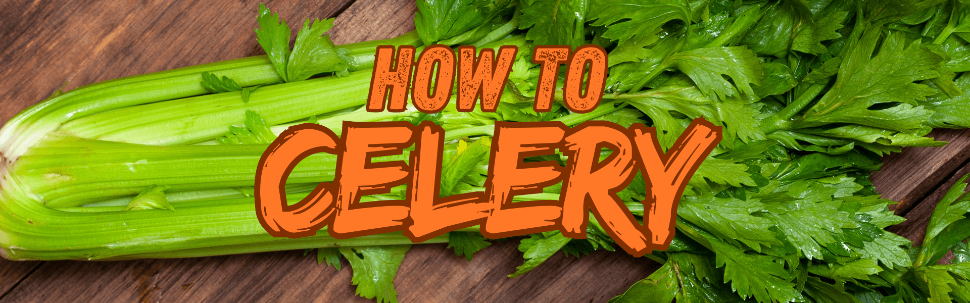 How To Celery