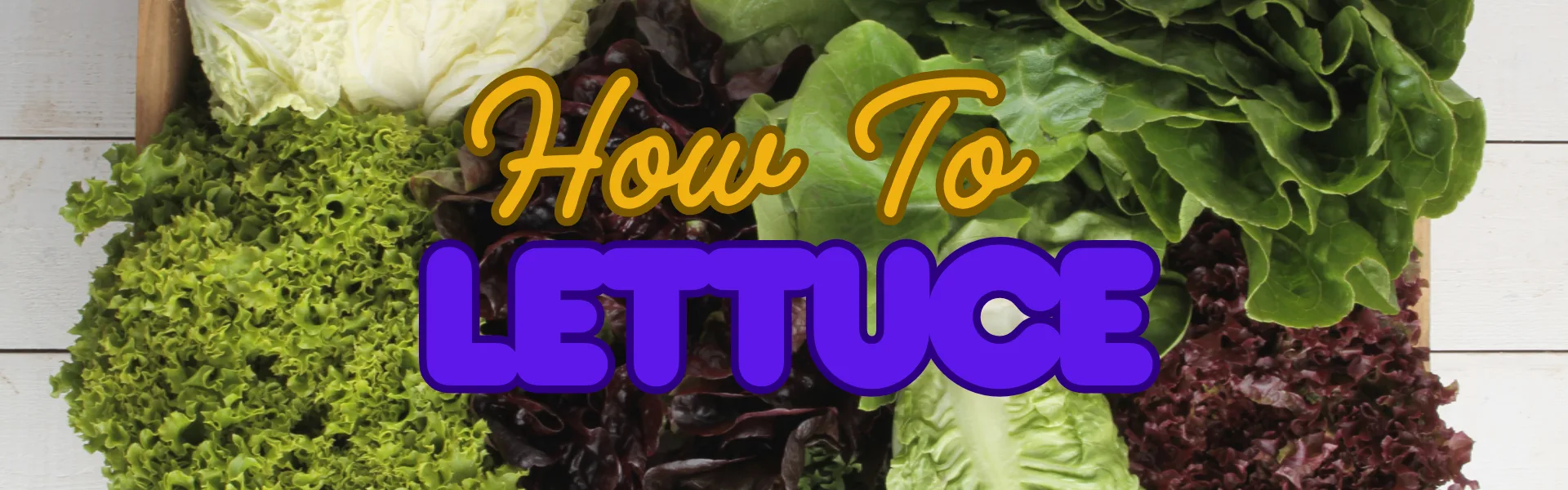 How To Lettuce How To Lettuce
