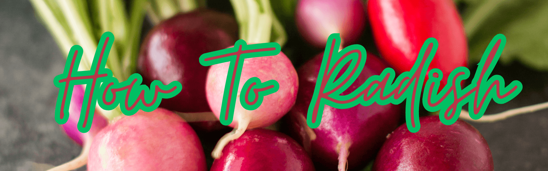 How To Radish